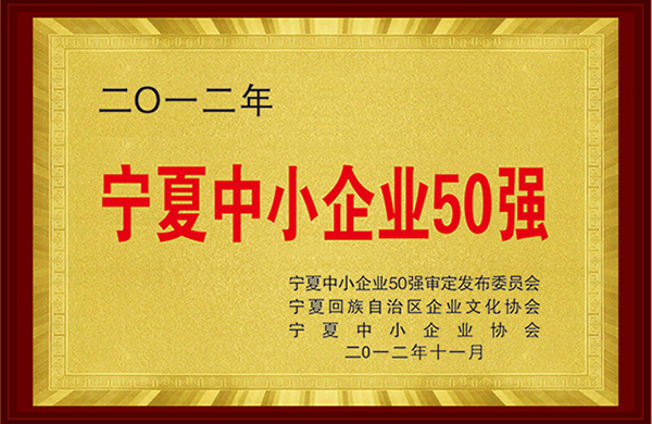 榮獲2012年寧夏中小企業50強.jpg